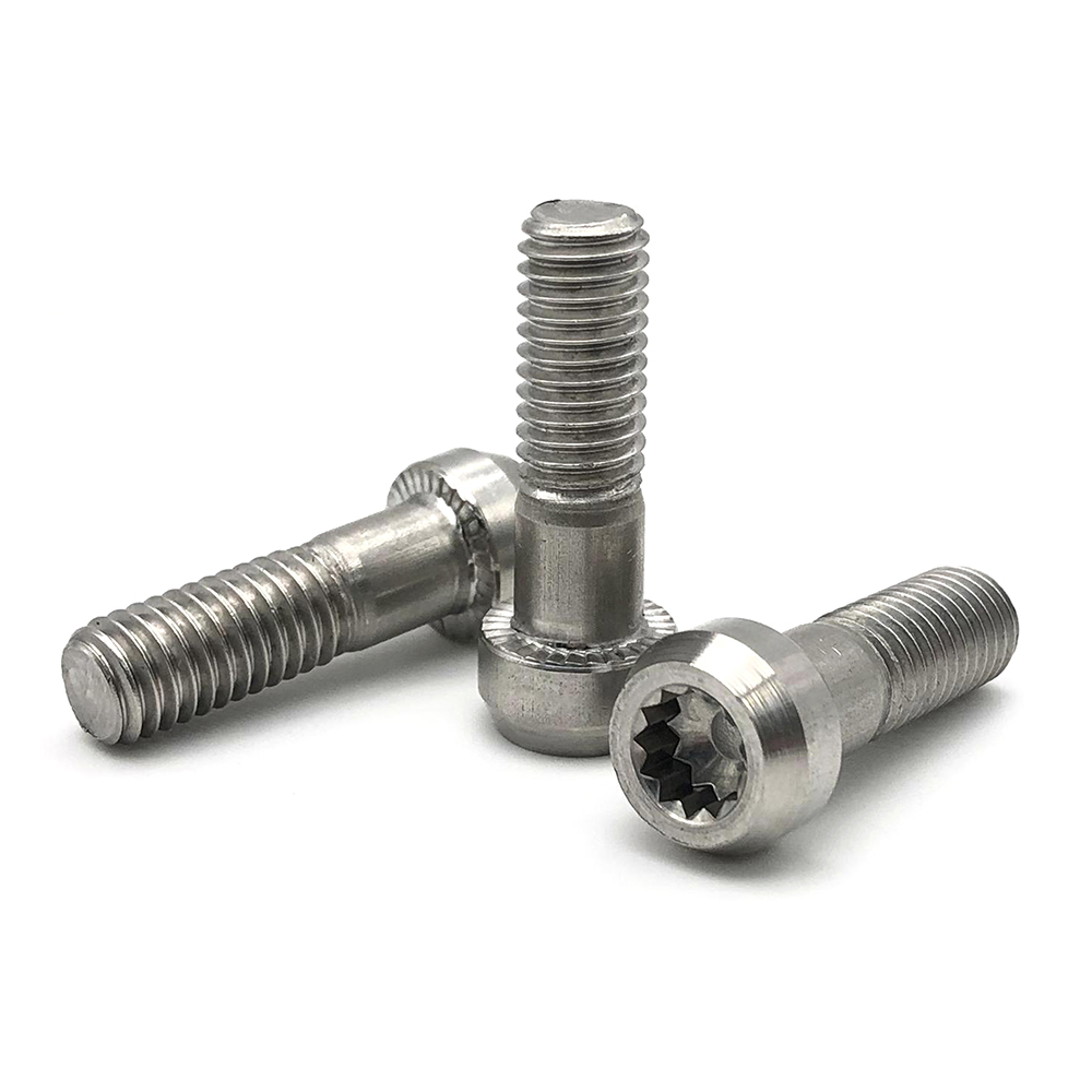 廠家定制非標(biāo)螺絲 鈦螺絲 鈦合金螺絲 車削螺絲 臺階螺絲 半牙螺絲 自行車螺絲  內(nèi)十二角螺絲